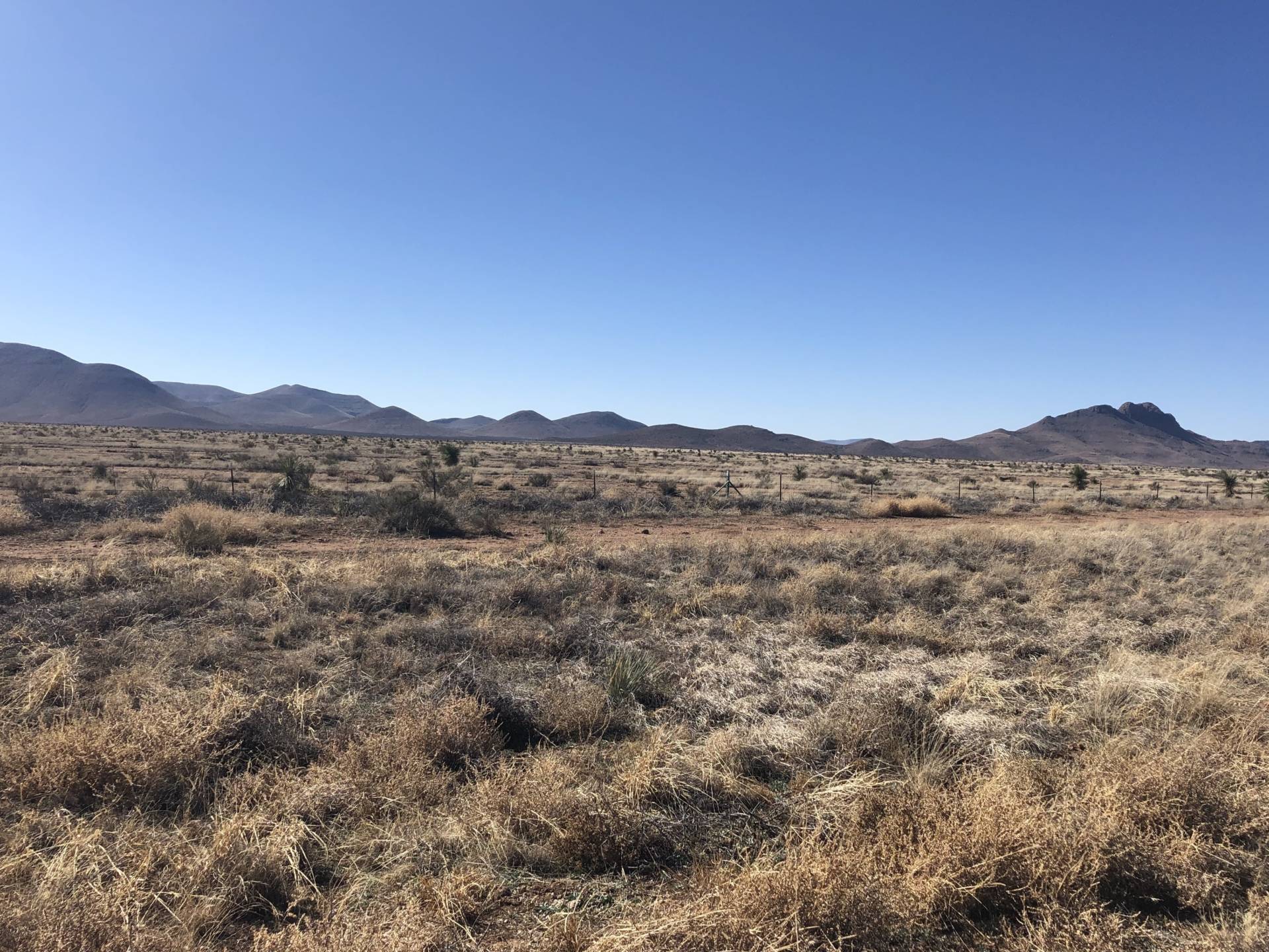 New Mexico's Bootheel region along the U.S.-Mexico border is an important wildlife corridor. There is currently no border wall in this area but environmentalists are concerned about what could happen if the wall is expanded. Mallory Falk/KRWG