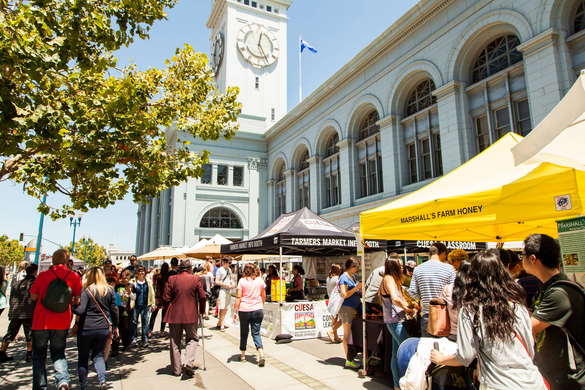 The Farmers Market in front of the San Francisco Ferry Building CUESA/Amanda Lynn Photography 