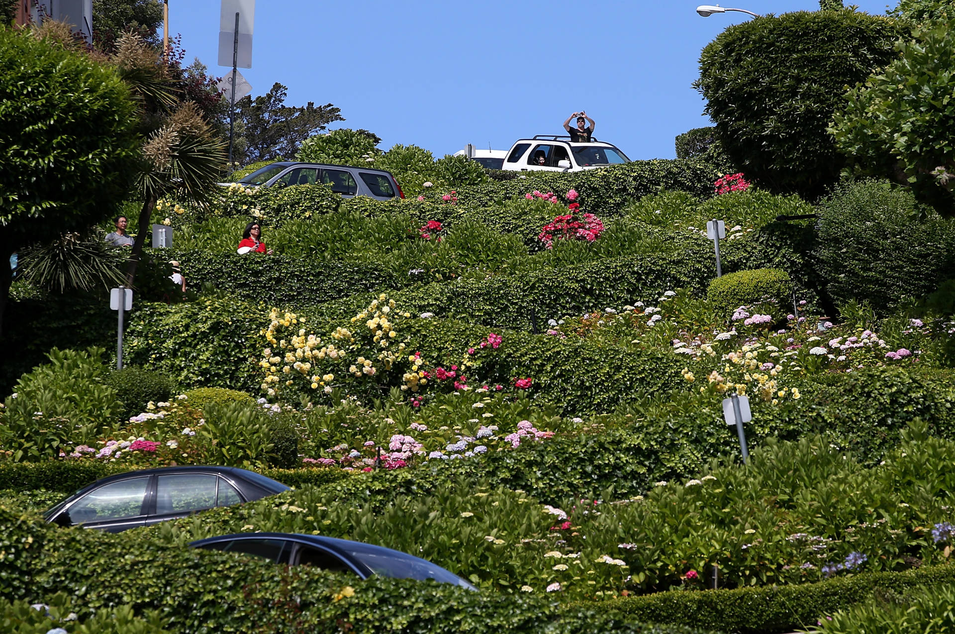 A tourist takes a picture out of a sunroof while driving down Lombard Street in San Francisco, California.  Justin Sullivan/Getty Images