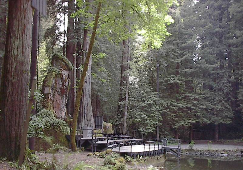 Sonoma Approves Security Deal for Controversial Bohemian Grove Retreat ...