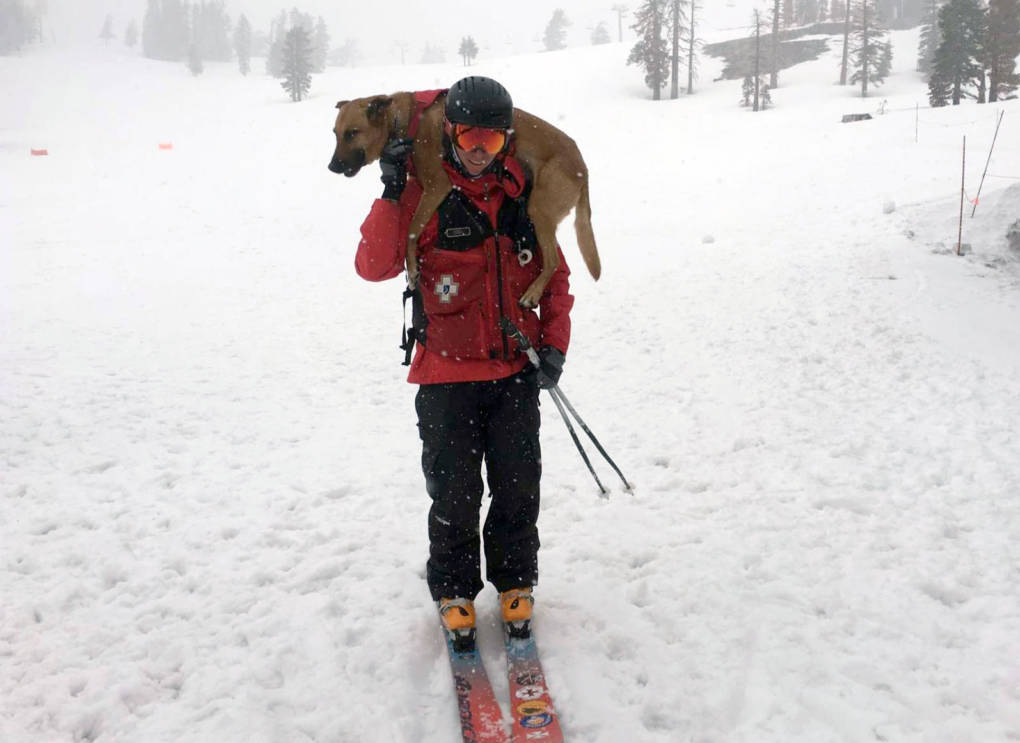 Rescue dog handler Ben Stone with his dog, Kaya. Stone has been working on the ski patrol for 13 years. Michelle Wiley/KQED