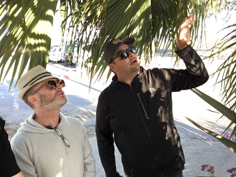  Joseph Morales et Jason Dewees admirent les palmiers 