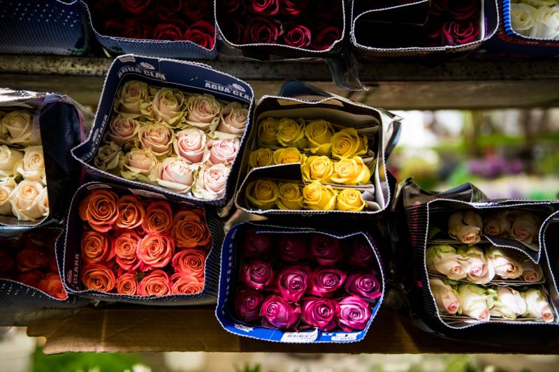 Roses at Chak Nursery in the San Francisco Flower Mart on May 5, 2020. The market is currently only open to those who are registered badgeholders making purchases for their business.