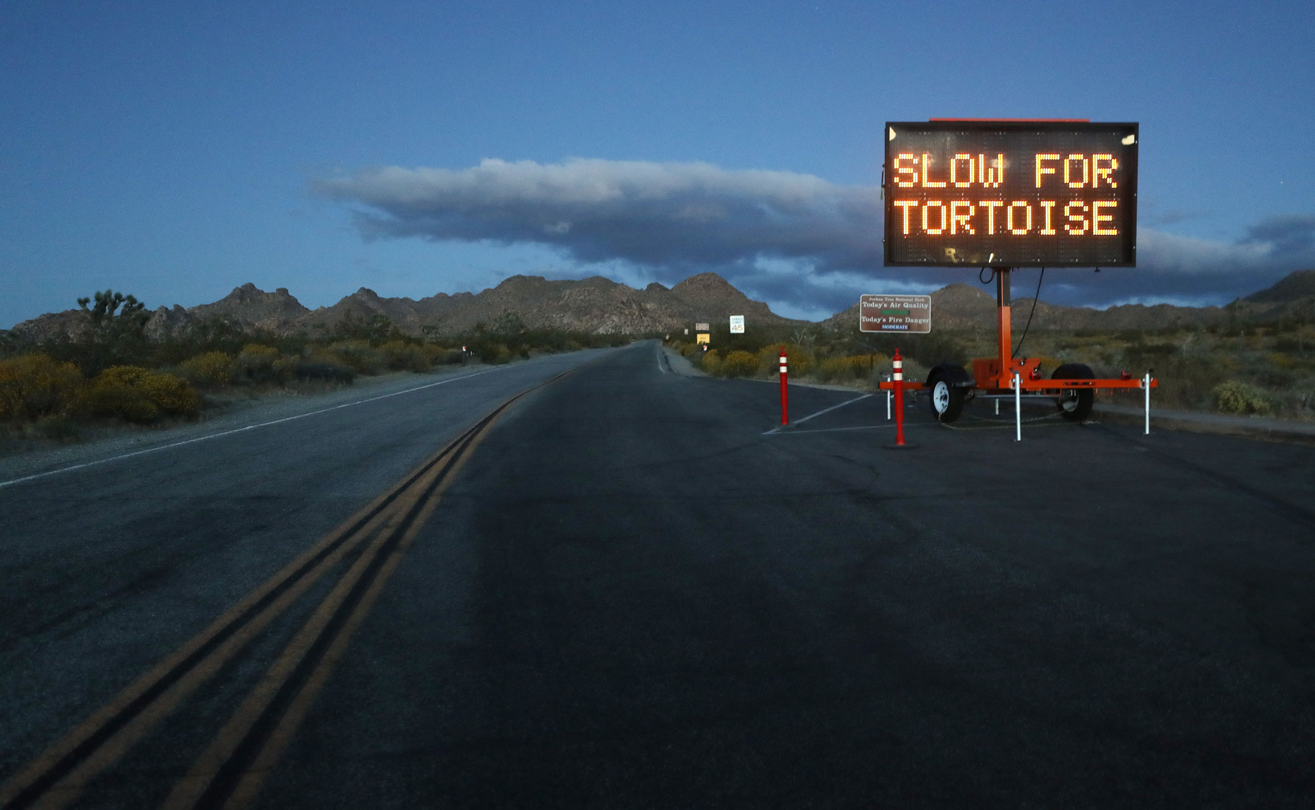 A sign reads 'Slow For Tortoise' in Joshua Tree National Park on May 18, one day after the park reopened after being closed due to the coronavirus pandemic.