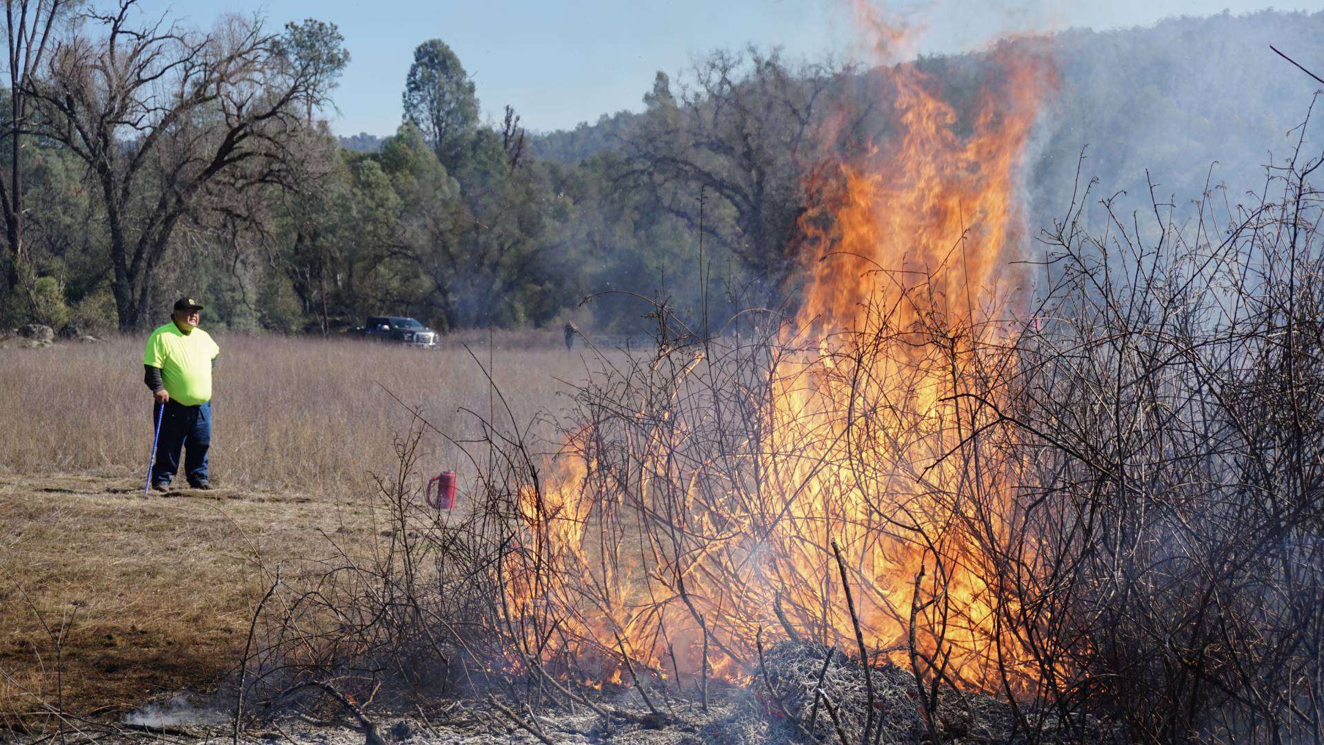 Goode looks on as sourberry bushes burn. After the bushes are burned in the winter, they sprout again in the spring. Lauren Sommer/NPR