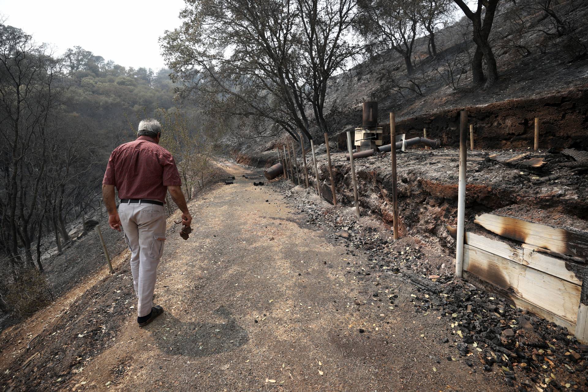 Sid Torun, owner of M.S. Torun Family Vineyards, walks through a portion of his property that was burned by the LNU Lightning Complex fire on August 24, 2020 in Vacaville, California.  Justin Sullivan/Getty Images