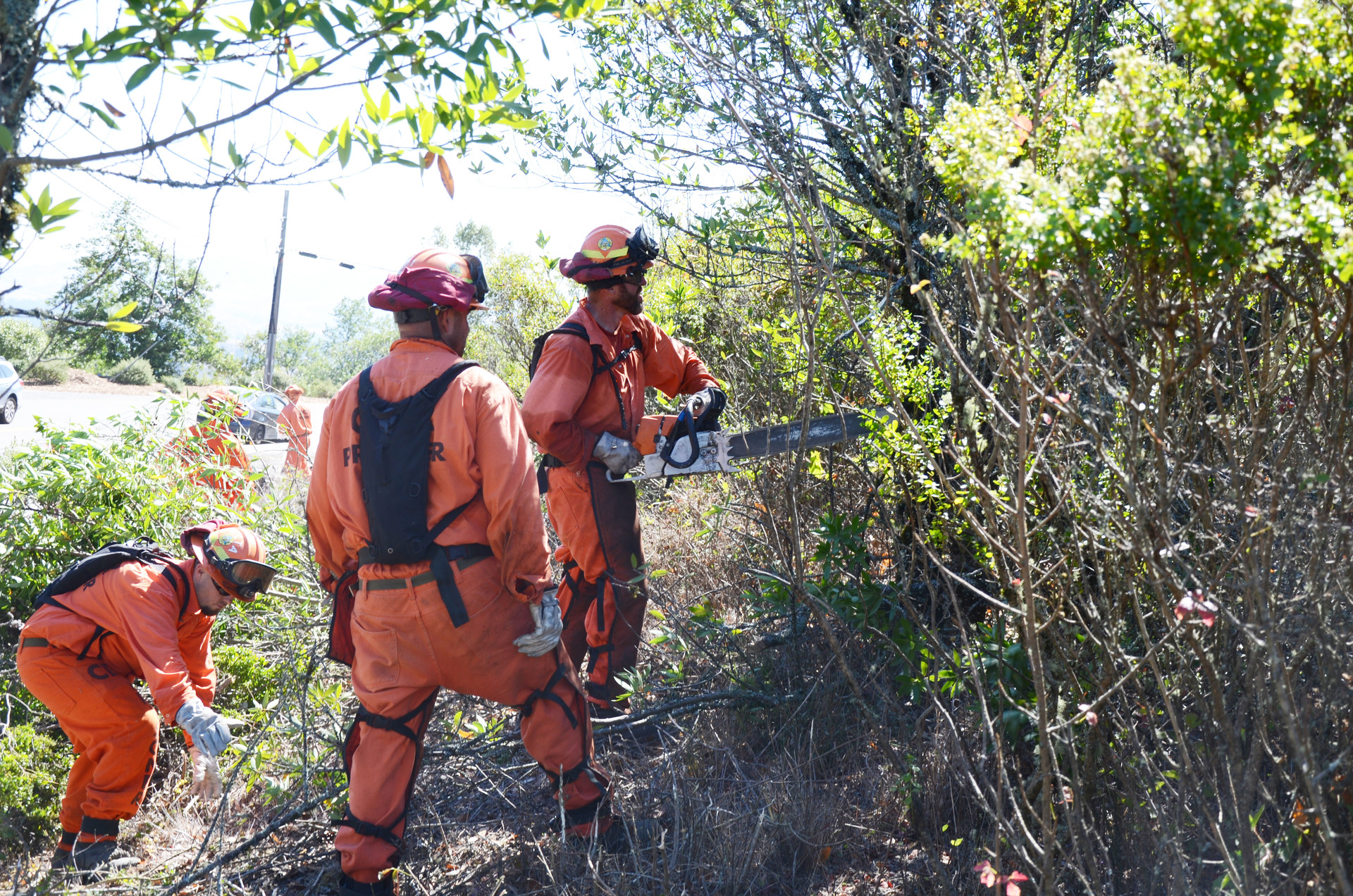 Inmate firefighters clear brush from a roadside in the Berkeley Hills near Tilden Regional Park on Tuesday, Sept. 26, 2017. Fire officials say fuel reduction projects like this are critical to preventing major wildfires.