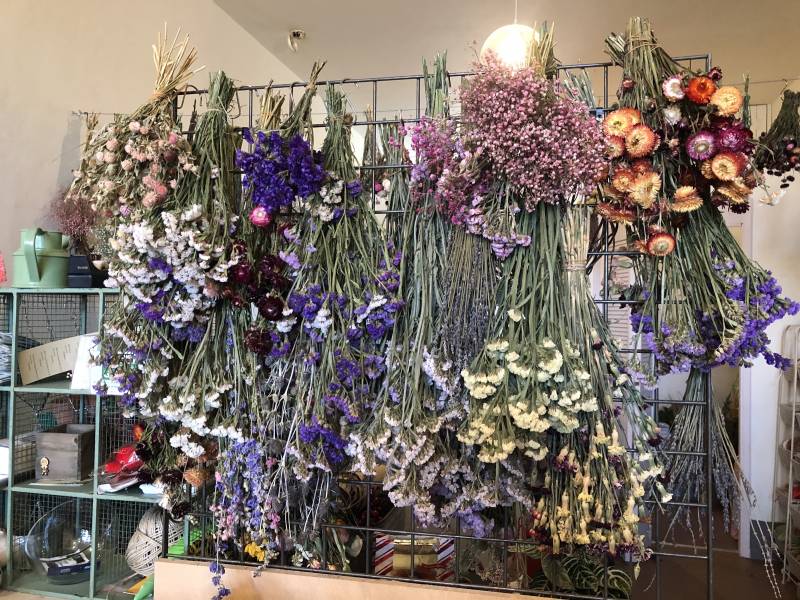 Fractal Flora sells a collection of house plants and fresh flowers. While the plant industry has seen an uptick in sales, the flower industry is slowly struggling by as it's reliant on large events that are restricted during the pandemic.