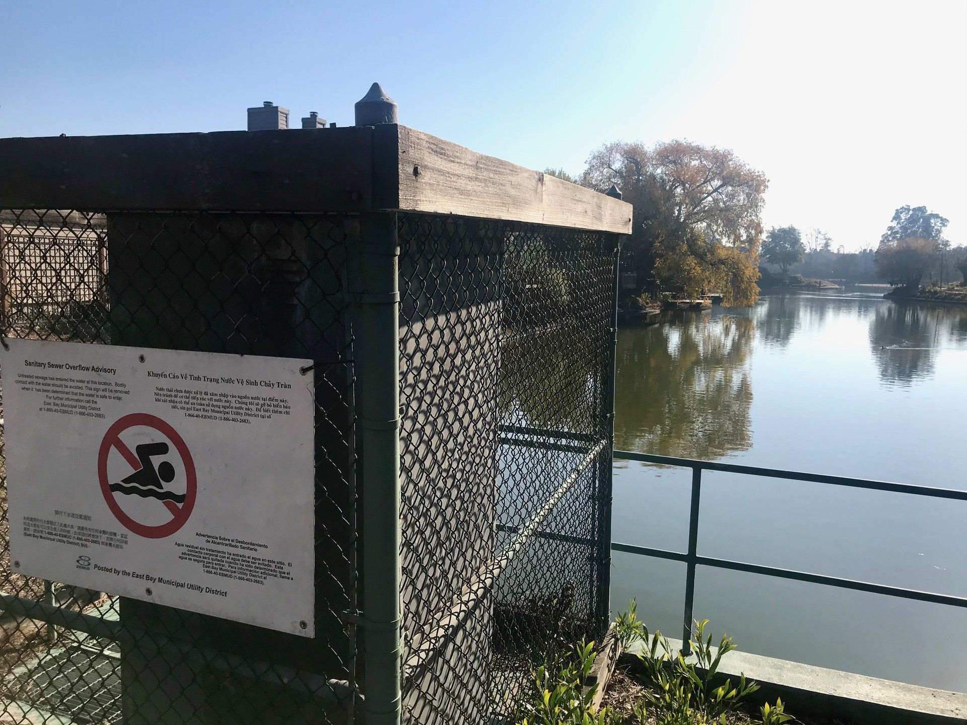 A sign that reads 'Sanitary Sewer Overflow Advisory' near a lagoon in Alameda.