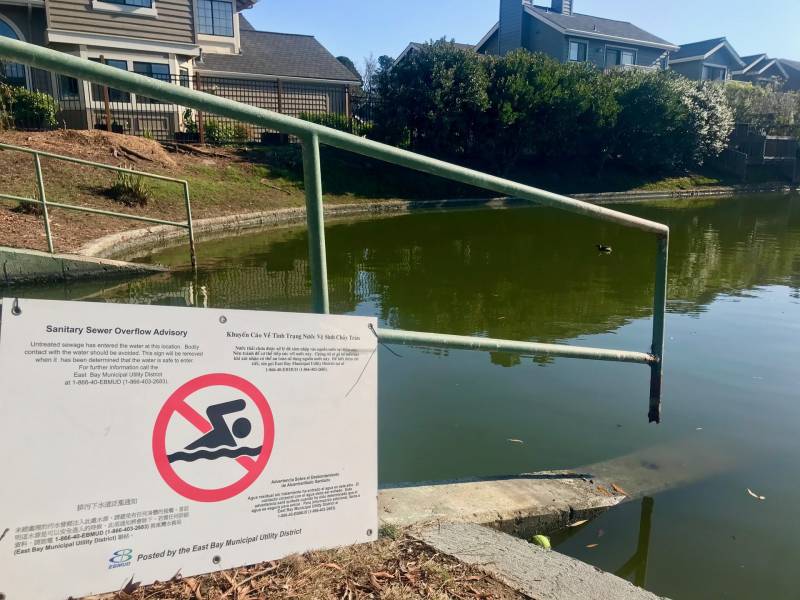 A sign near a lagoon in Alameda reads 'Sanitary Sewer Overflow Advisory'