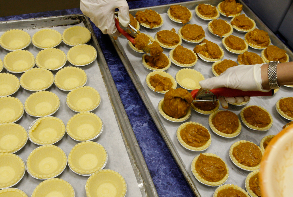 Gloved hands prepare miniature pumpkin pies laid out on a sheet