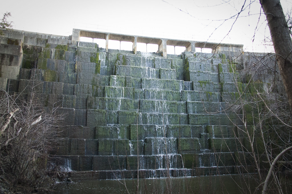 Searsville Dam is a concrete gravity structure made of interlocking concrete blocks. 