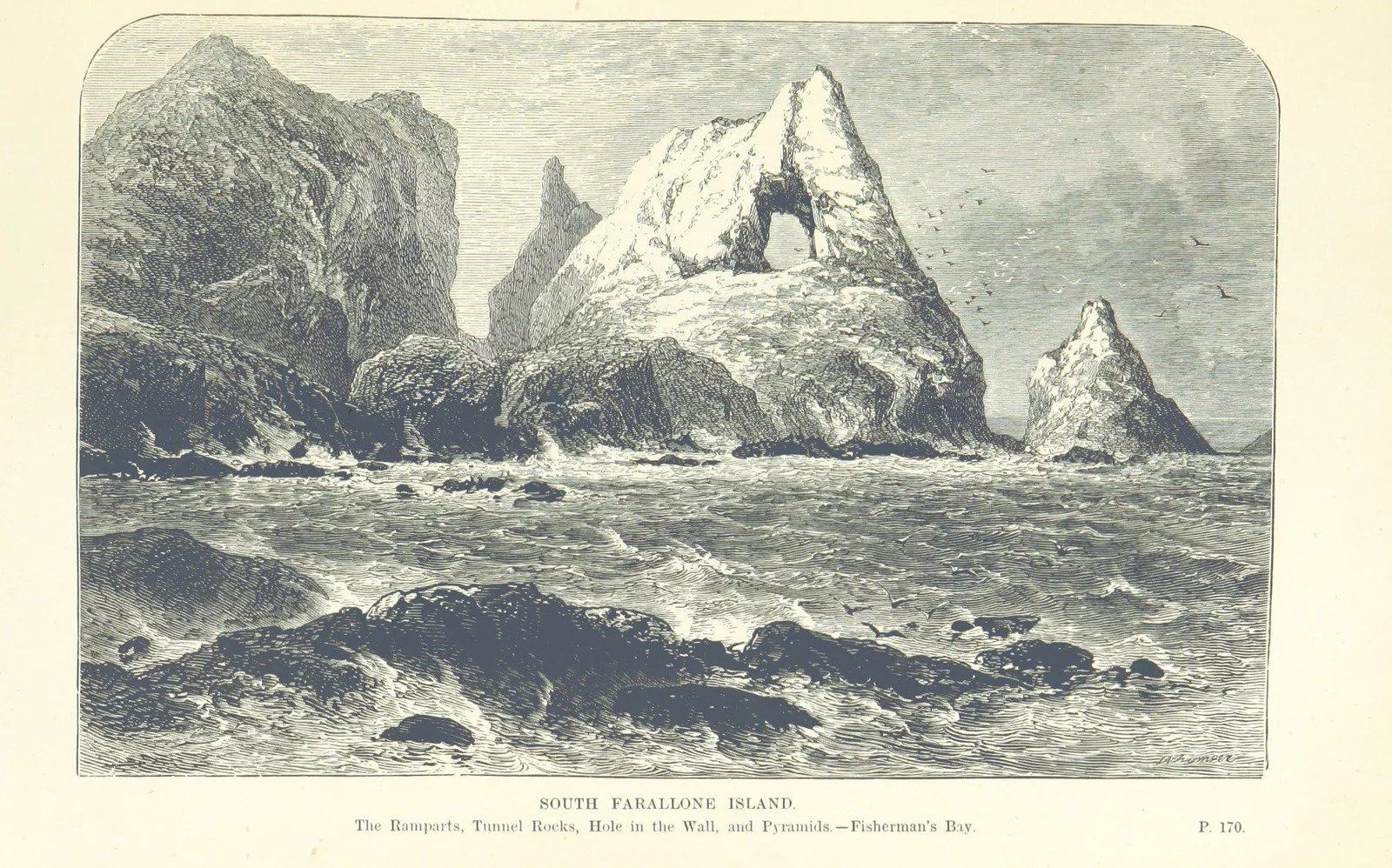 Etching of The South Farallon Island