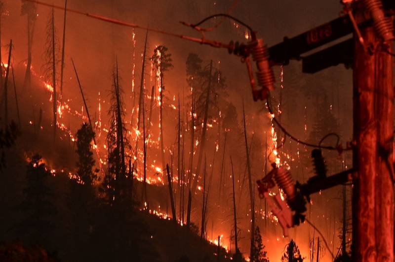 Dozens of trees and a power line burn as flames cover a forest. The sky is black with smoke and embers fly through the air.