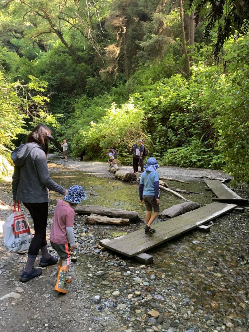 Adults and kids walk across wet boards above a low creek amid lush green hills.