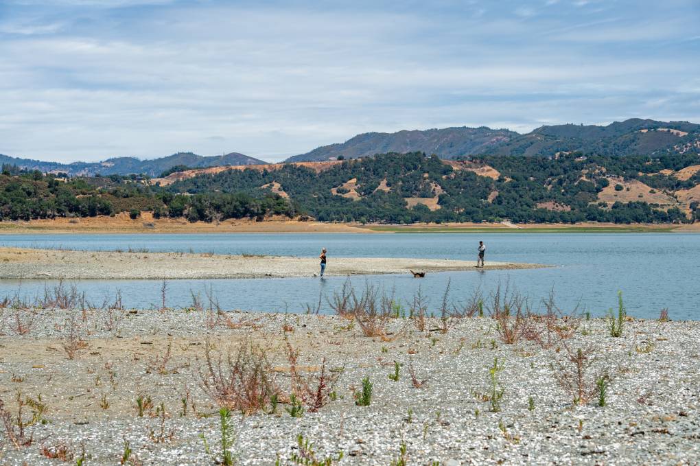 A couple walks their dog near the coast of Lake Mendocino on June 11, 2021.