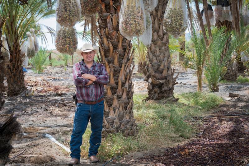 Aguileo Rangel Rojas, originally from Guanajuato, Mexico, has been working as a farmworker in Coachella since 2004. 