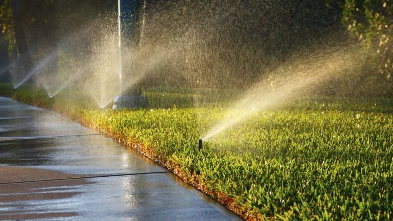 Californians living in more urban environments use a lot of water on lawns.
