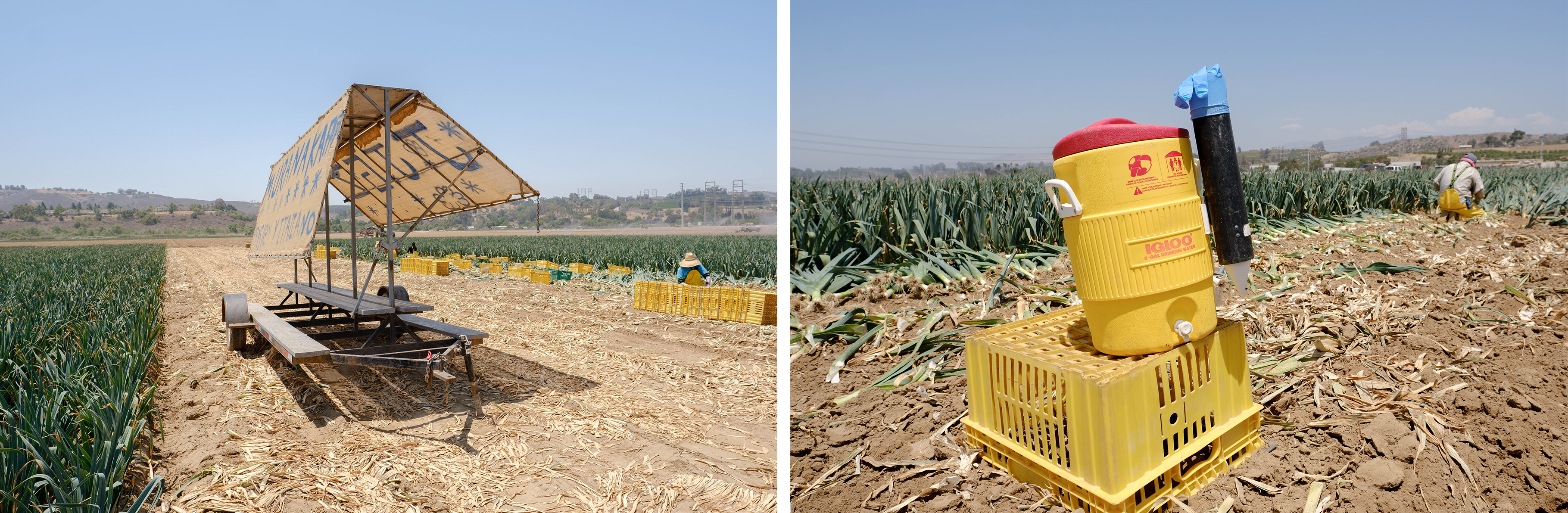Two photos, one of a freestanding shade structure, one of a water cooler atop a plastic basket, both in the middle of a field.
