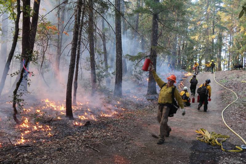 A controlled burn trainee holds a small torch aloft while surveying an area where underbrush and debris is burning on the forest floor.