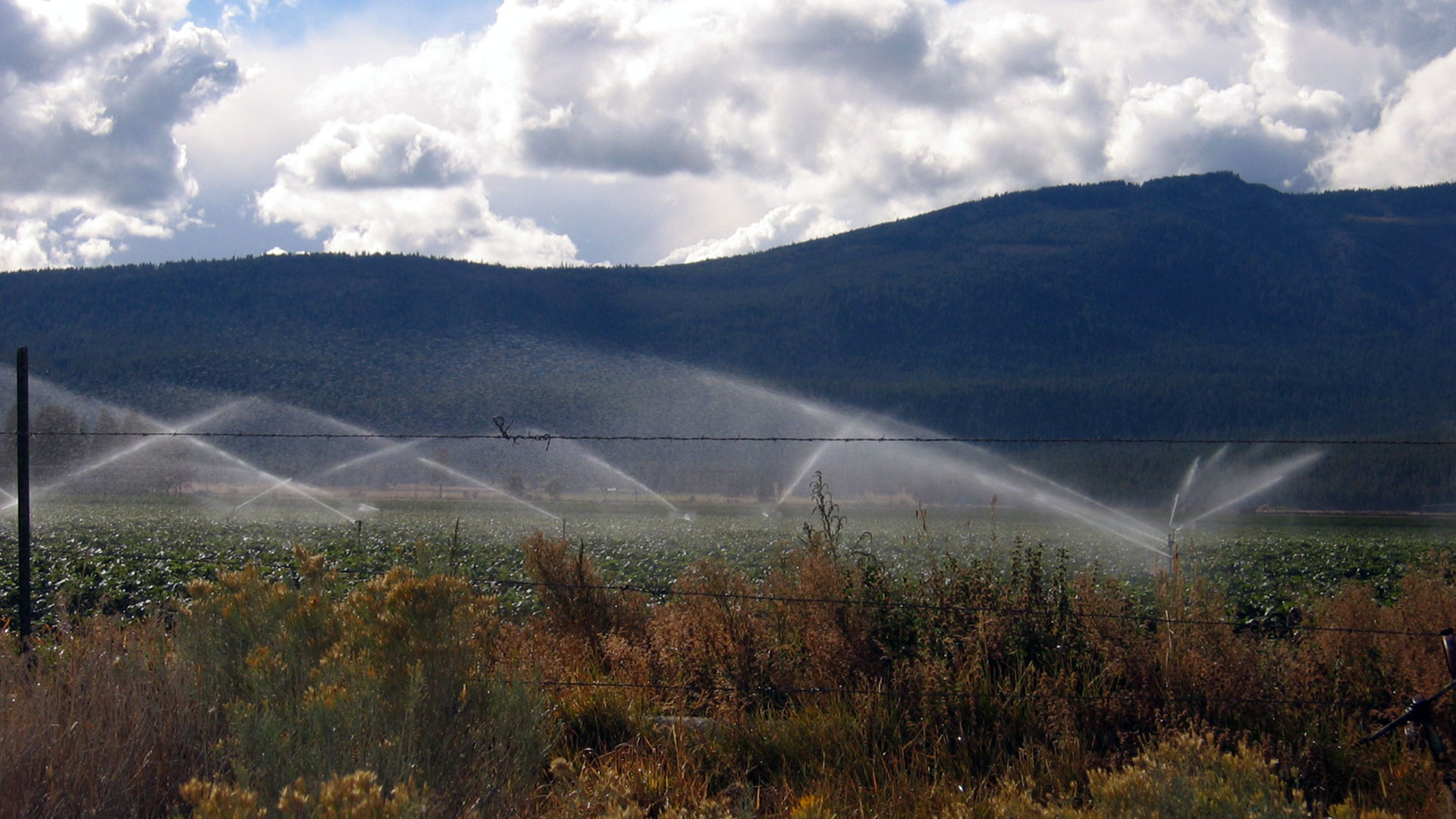 Water sprays across a field with blue mountains looming behind and puffy clouds overhead.