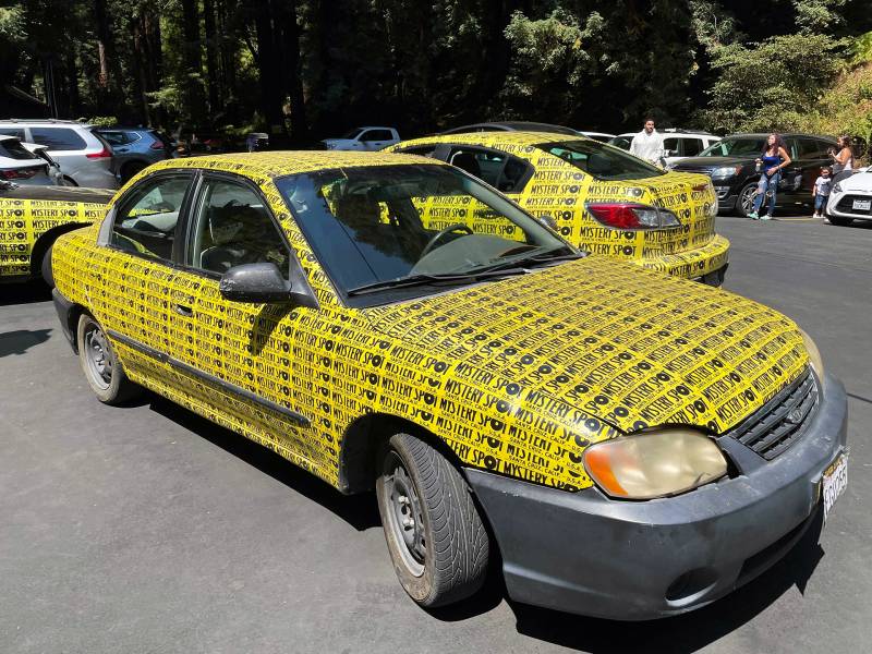 Three cars whose bodies are completely covered by yellow bumper stickers (not the windows or lights).