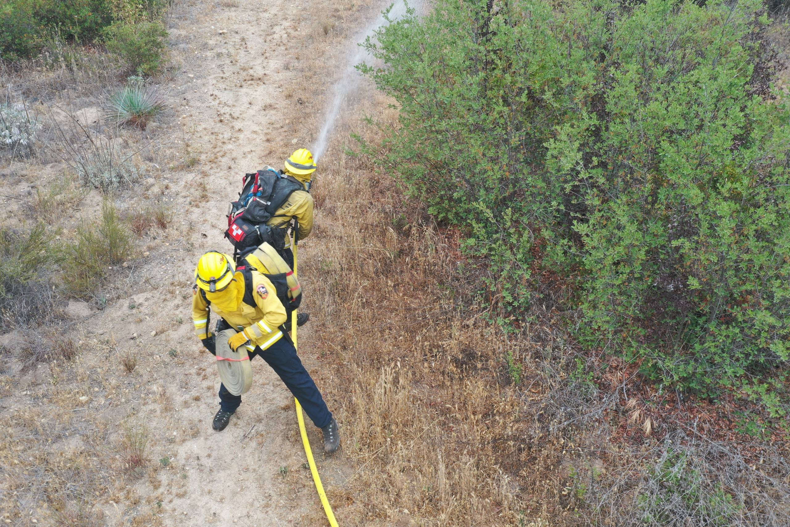 Two firefighters seem to be pulling a long hose through the forest.