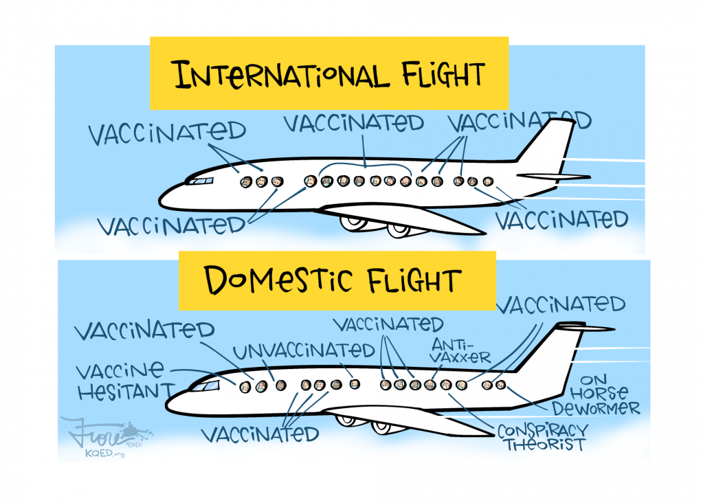 Cartoon: a passenger plane labeled, "international flight" with arrows showing vaccinated passengers. The second frame shows a domestic flight with passengers labeled "vaccinated," "unvaccinated" and "on horse dewormer."