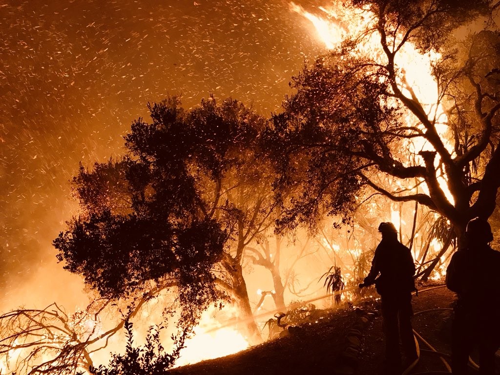 Two people and a tree are backlit by the bright orange flare of a wildfire.