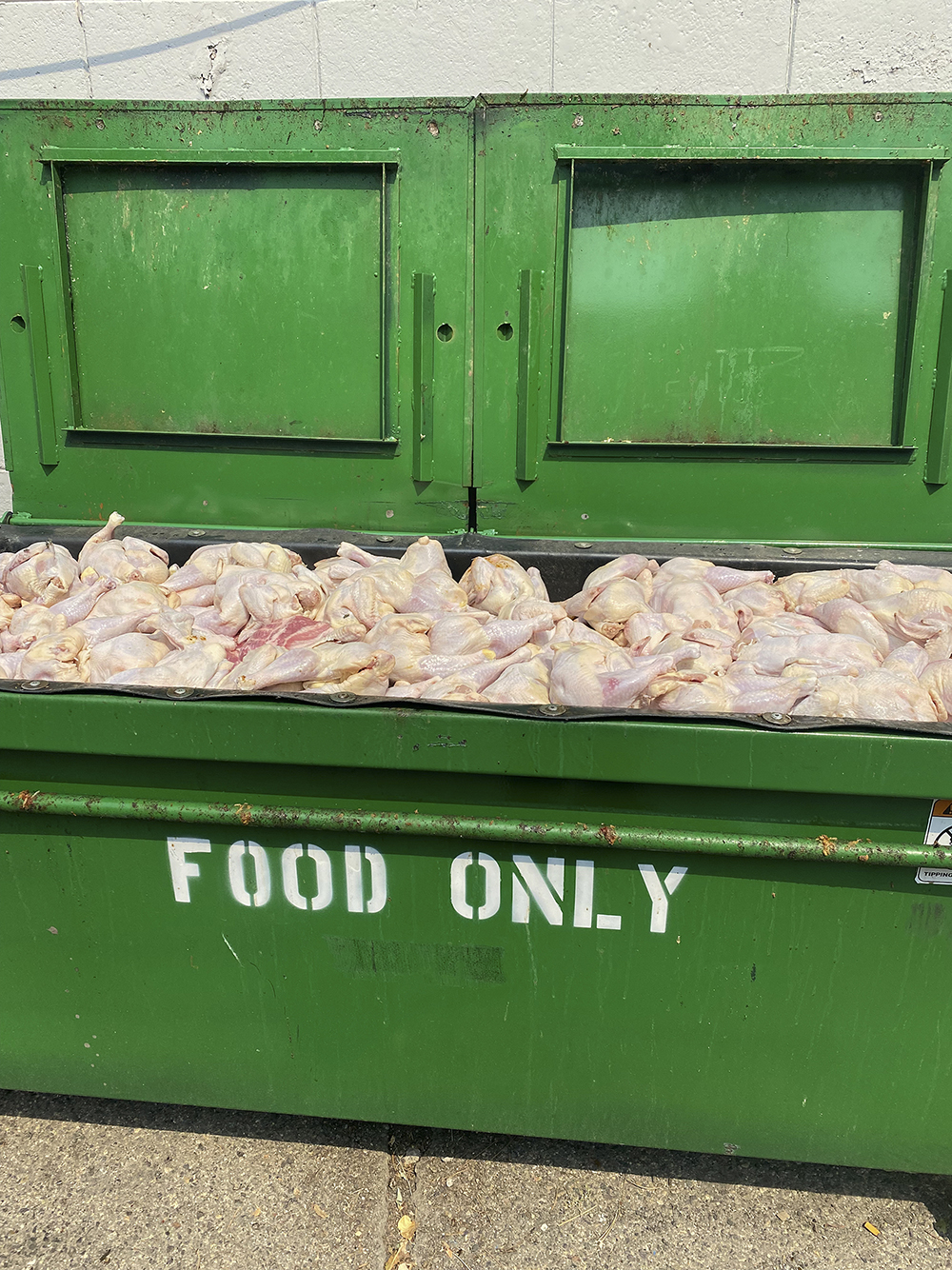 A bright green garbage dumpster painted with the words "Food Only" full of raw chicken.