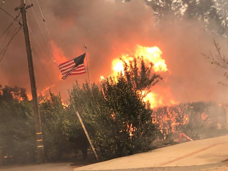 A forest burns in a fire, with particularly bright flames from the top of one falling tree. An American flag flies, not yet touched by the flames.