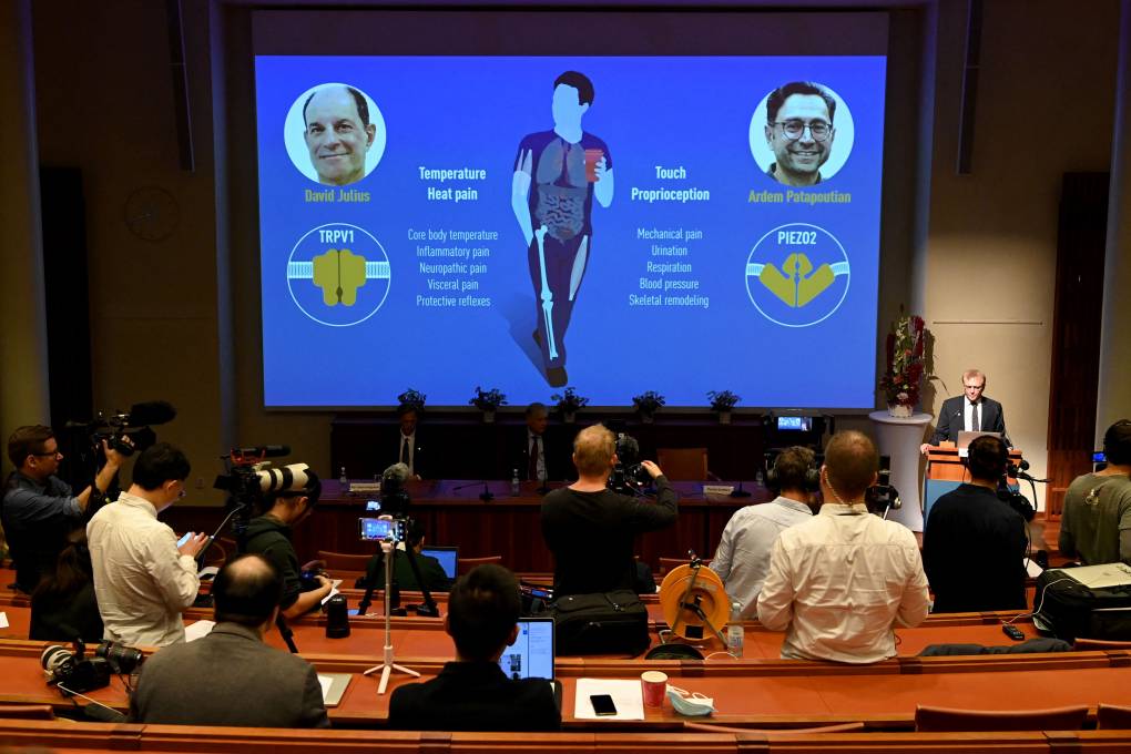 A man behind a podium in an auditorium stands next to a projection showing the faces of the 2 researchers and a diagram of their prize-winning work.