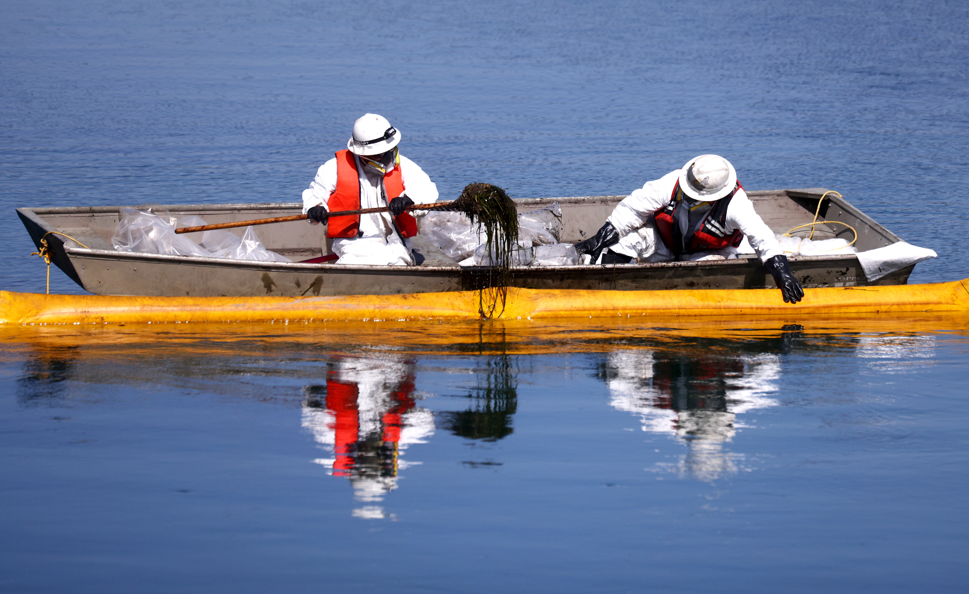 Two people dressed in white hazmat suits and life vests sit in a boat, one wielding a long tool and picking up oil-covered seaweed from the water.