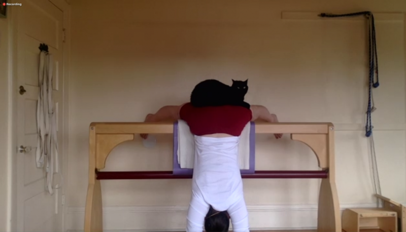 Woman perched upside-down on a bench with a cat sitting on her bottom.