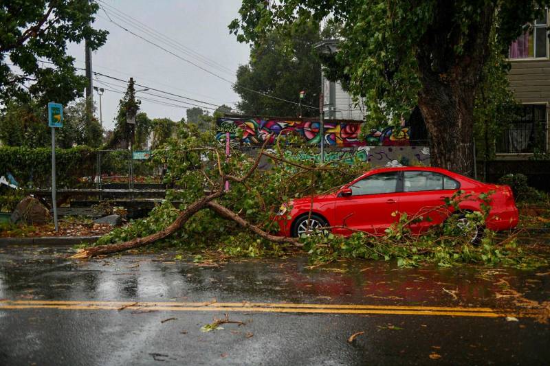 Large tree branch fallen on red parked car on rain-soaked two-way street.
