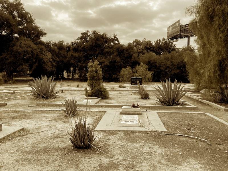 A sepia toned photo of gravesites with the remains of tombstones. Trees are in the background, and succulent plants dot the landscape.