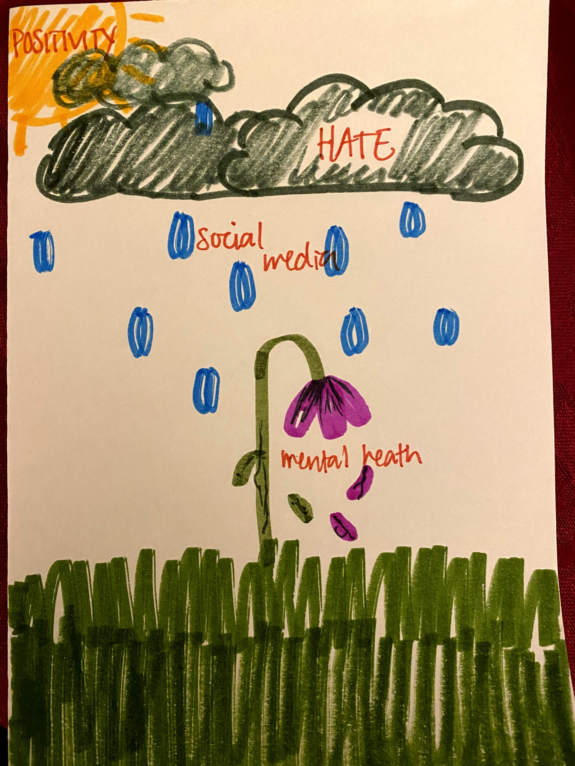 A "Youth Media Challenge" cartoon showing a sun labeled "positivity" that is obscured by a cloud labeled "hate" that rains down "social media" on a wilting flower labeled "mental health."