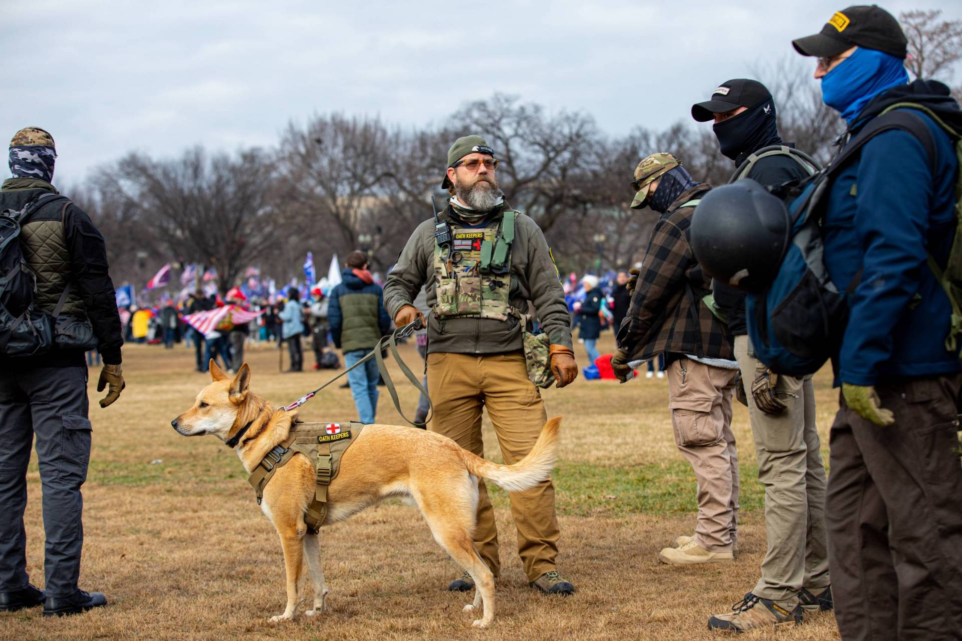 Men stand in a field of dry grass, barren trees in the background, wearing long sleeves, pants, gloves, baseball caps, and cloth masks that cover most of their faces. One with a long beard and glasses holds a dog with a camo harness that has a red cross on it, like a medic's cross.