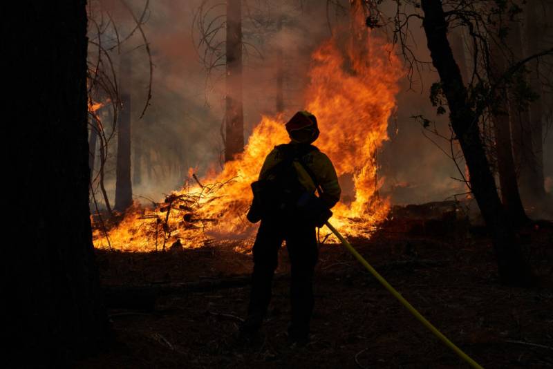 A firefighter stands in front of a fire in the forest holding a water hose.