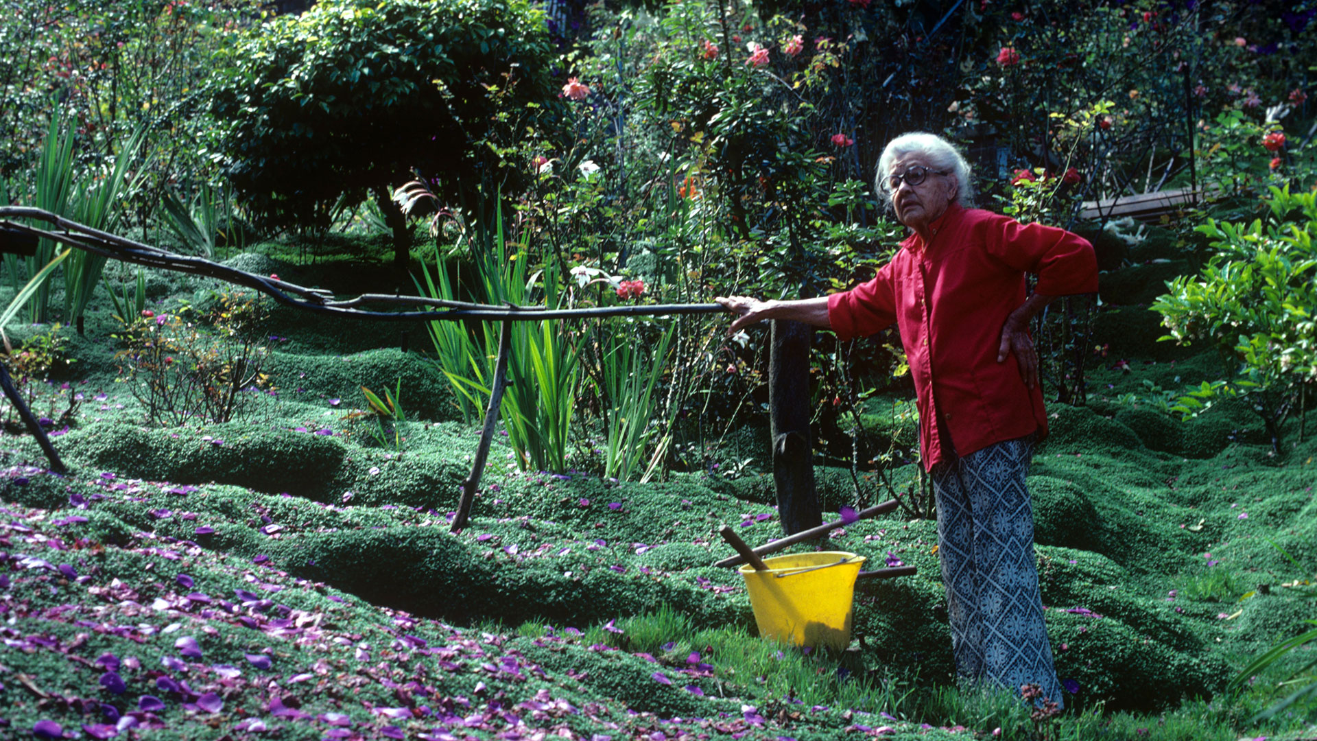 An older woman in loose fitting pants and a red blouse stands with her hand resting on a fence that surrounds a lush green garden stretching out behind her.