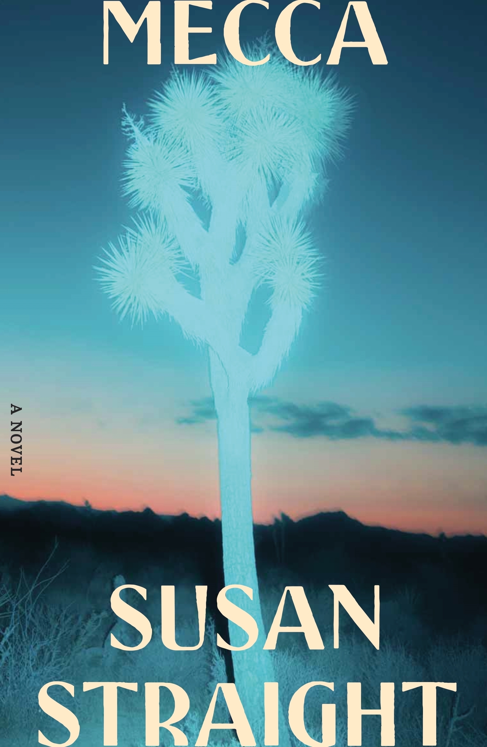 A book cover that says" 'Mecca" by Susan Straight