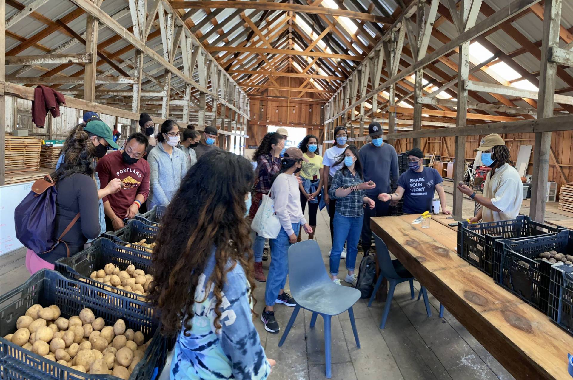 People gather in a farm structure, next to boxes of potatoes.