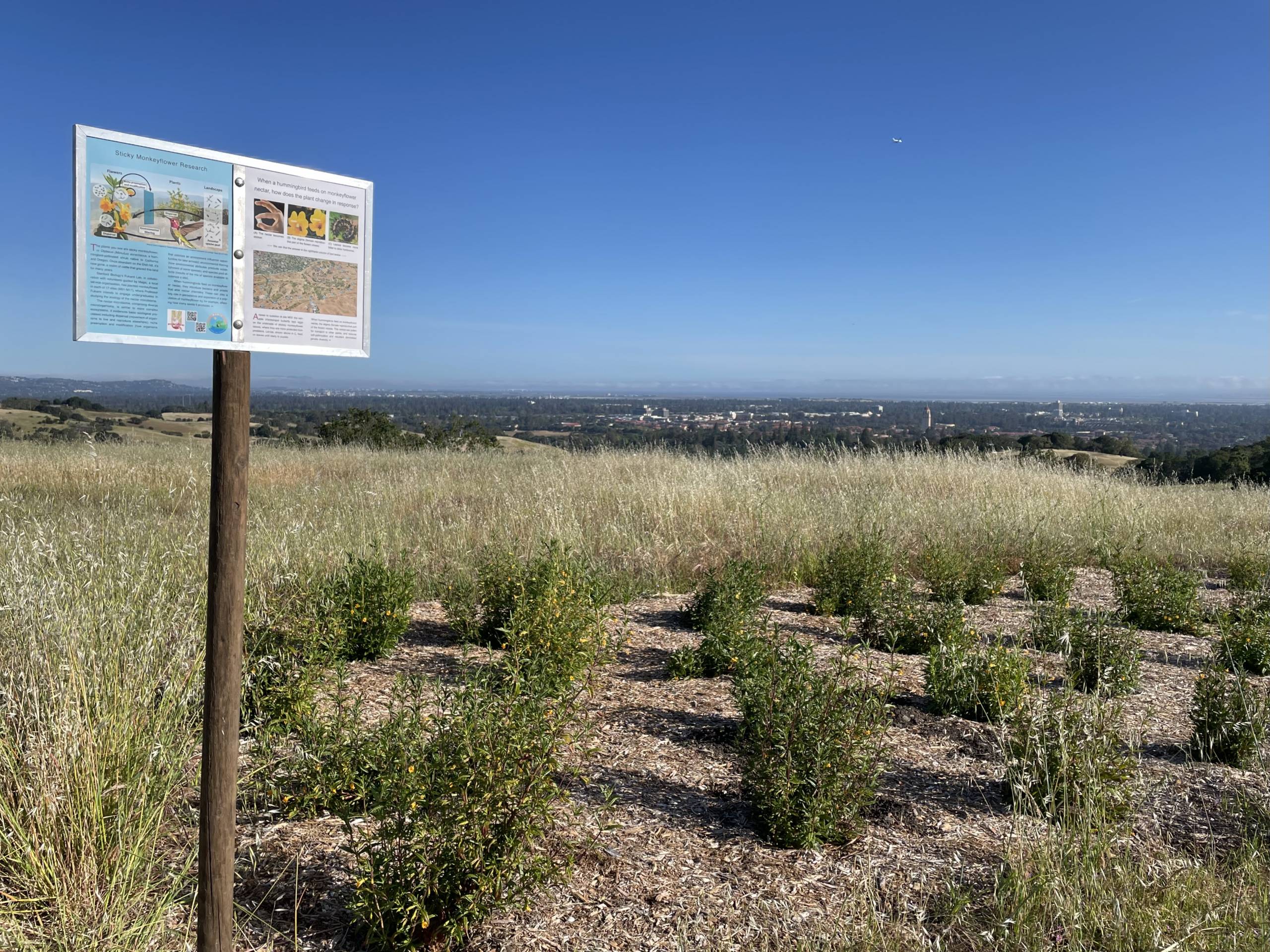 A sign is posted next to neat rows of flowers planted where grass has been cleared.
