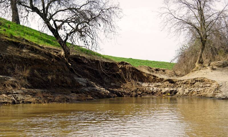Brown river water flows past a brown soil embankment that has broken off and fallen into the river. Trees slip down the embankment and green grass is in the background.