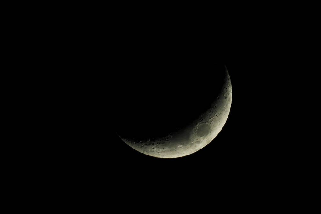 A pale white and grey crescent moon hangs against a black background. There are craters and pock marks on the sliver of moon.