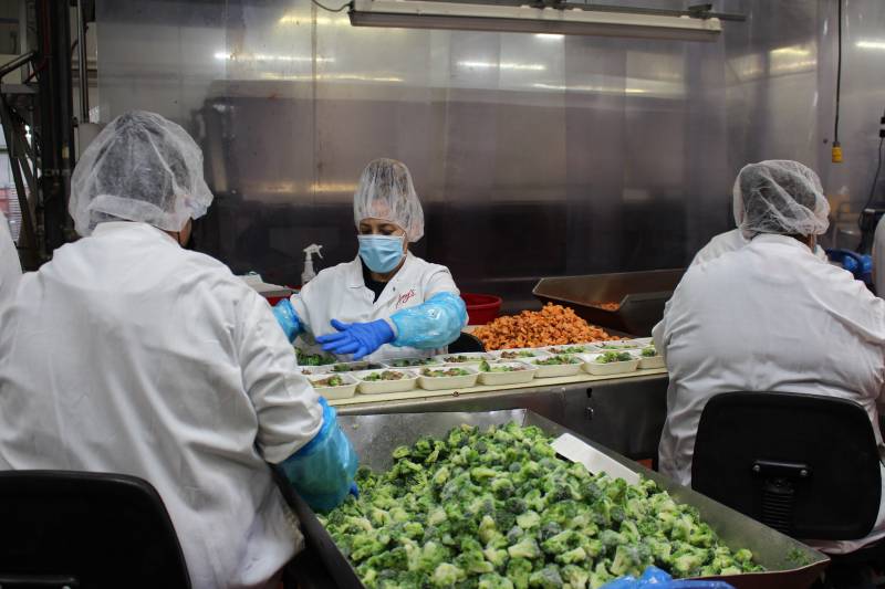 People wearing white coats, goggles, face masks and gloves standing over a vegetable assembly line in a factory.