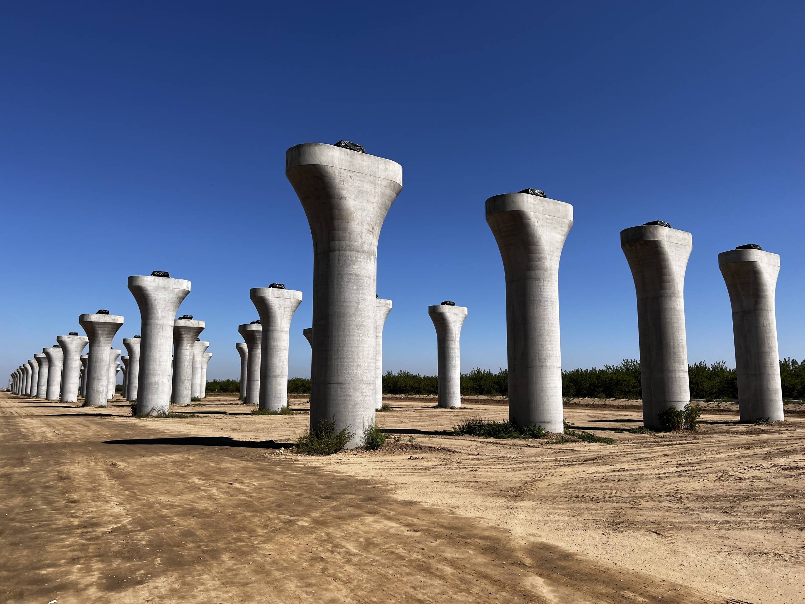 A long line of concrete columns.