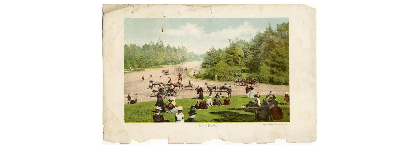A photochrome print of the main drive of Golden Gate Park with people in 1800 clothes picnicking in the foreground and horse and buggy in the backround.