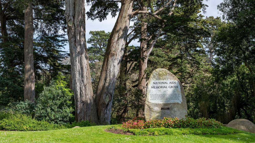 In the middle of a grassy knoll, flanked by tall trees, a stone proclaims "National AIDS Memorial Grove."