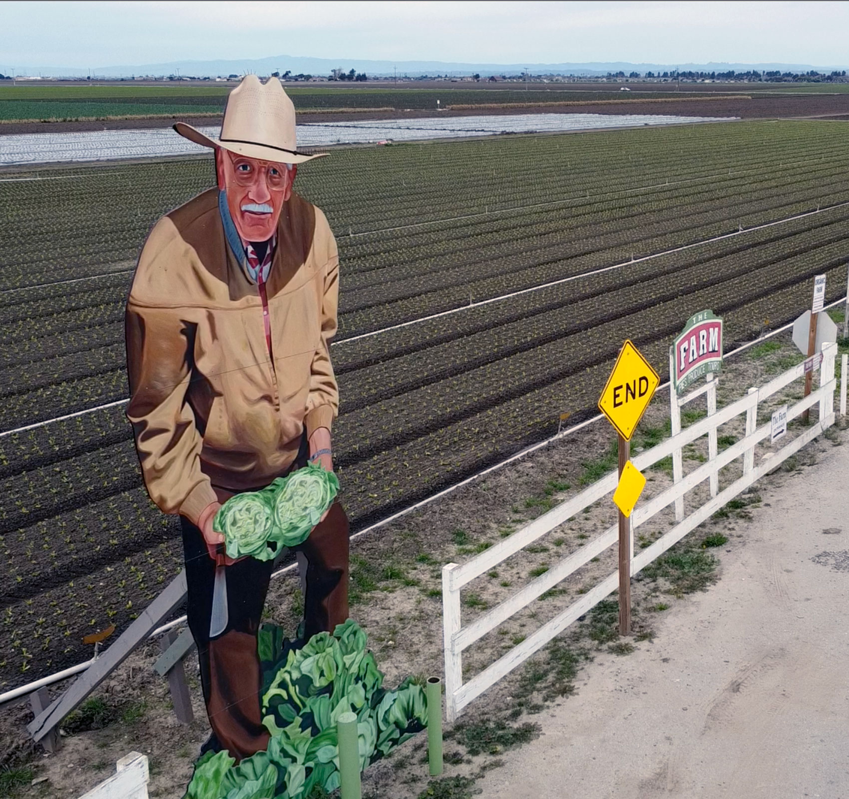 A large painting of a man with a white mustache, hat and tan jacket stands near the edge of a field, next to the road. The man holds two cabbages with more at his feet.